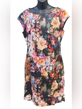 NWT New York & Company Floral Sheath Dress - Multicolor